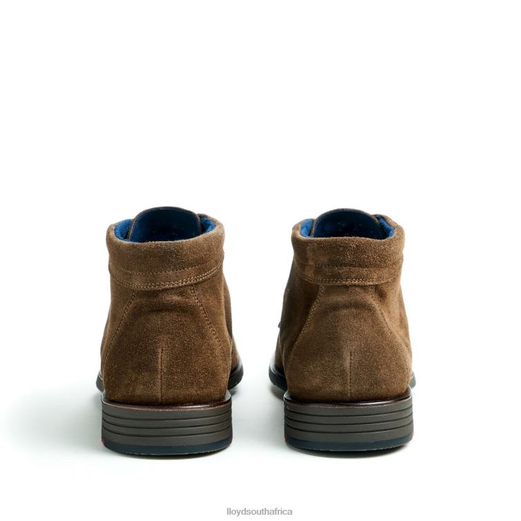 Shoes brown LLOYD TAMAR Men 86B4D49