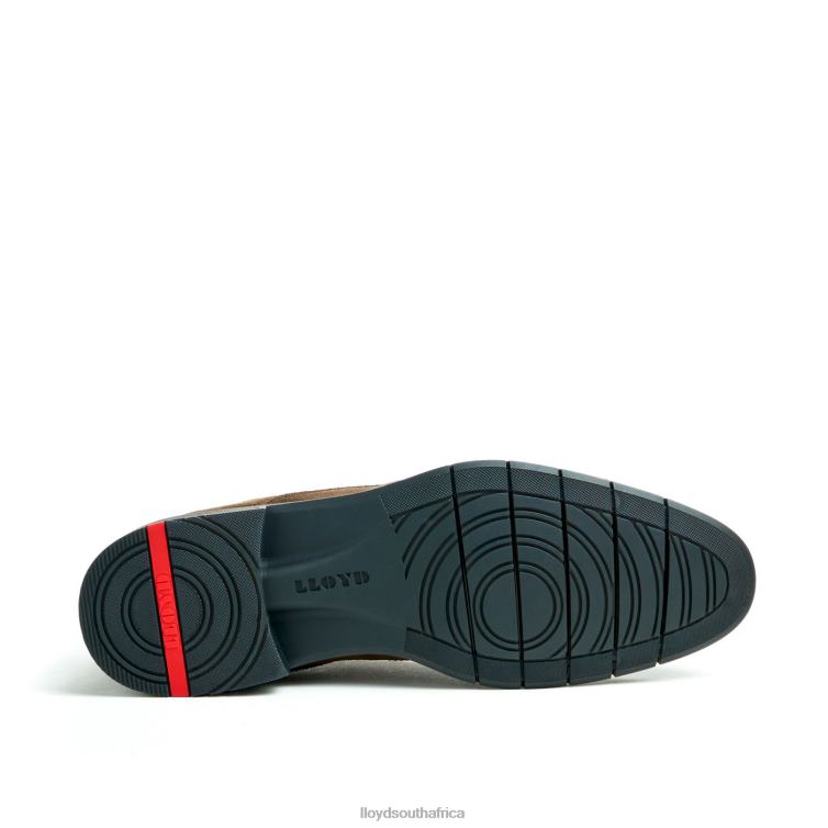 Shoes brown LLOYD TAMAR Men 86B4D49