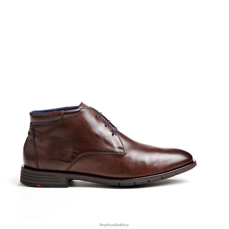 Shoes brown LLOYD TAMAR Men 86B4D55