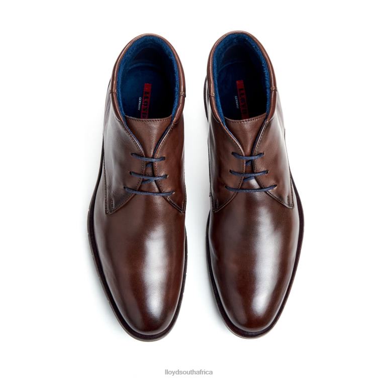 Shoes brown LLOYD TAMAR Men 86B4D55