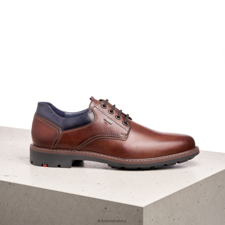 Shoes brown LLOYD VANJA Men 86B4D576