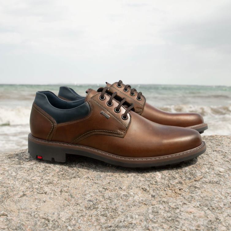 Shoes brown LLOYD VANJA Men 86B4D576