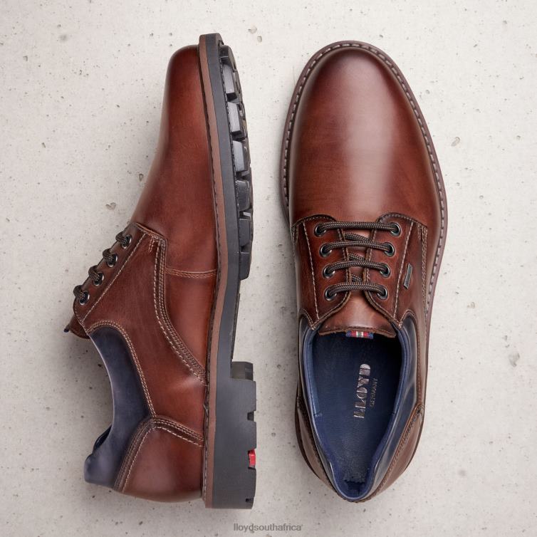 Shoes brown LLOYD VANJA Men 86B4D576