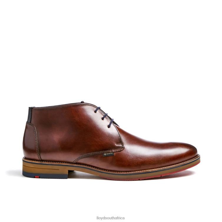 Shoes brown LLOYD VERDON Men 86B4D138