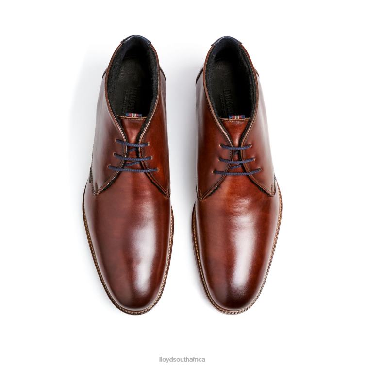 Shoes brown LLOYD VERDON Men 86B4D138