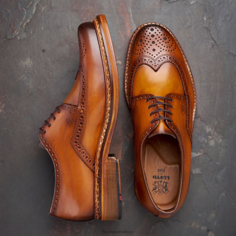 Shoes brown LLOYD WOTAN Men 86B4D163