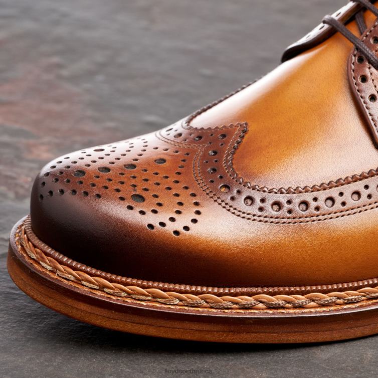 Shoes brown LLOYD WOTAN Men 86B4D163