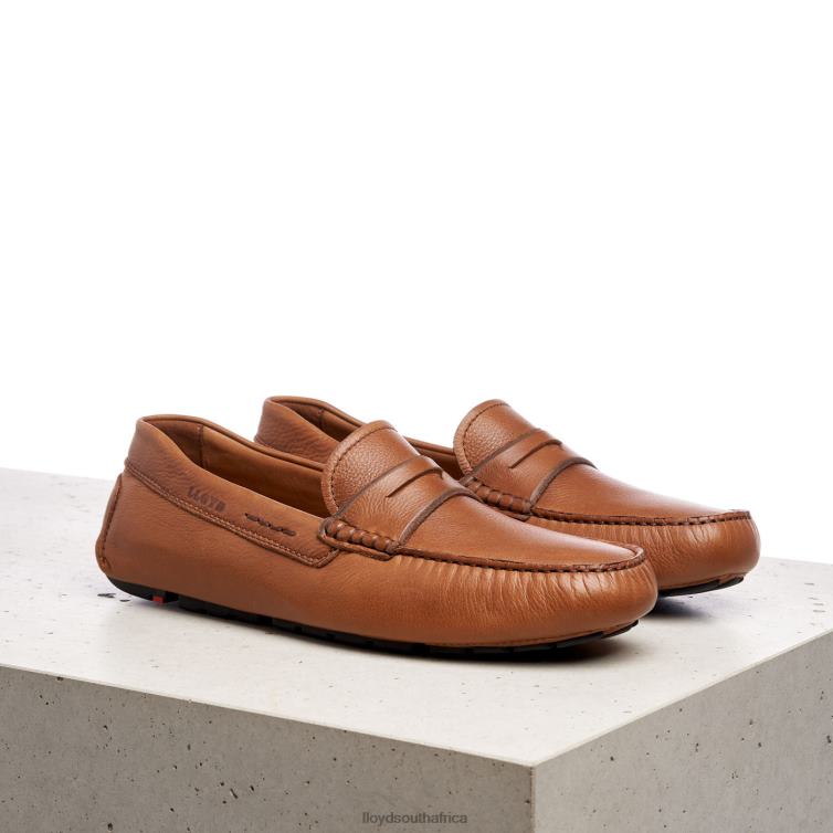 Shoes brown LLOYD EMMO Men 86B4D610