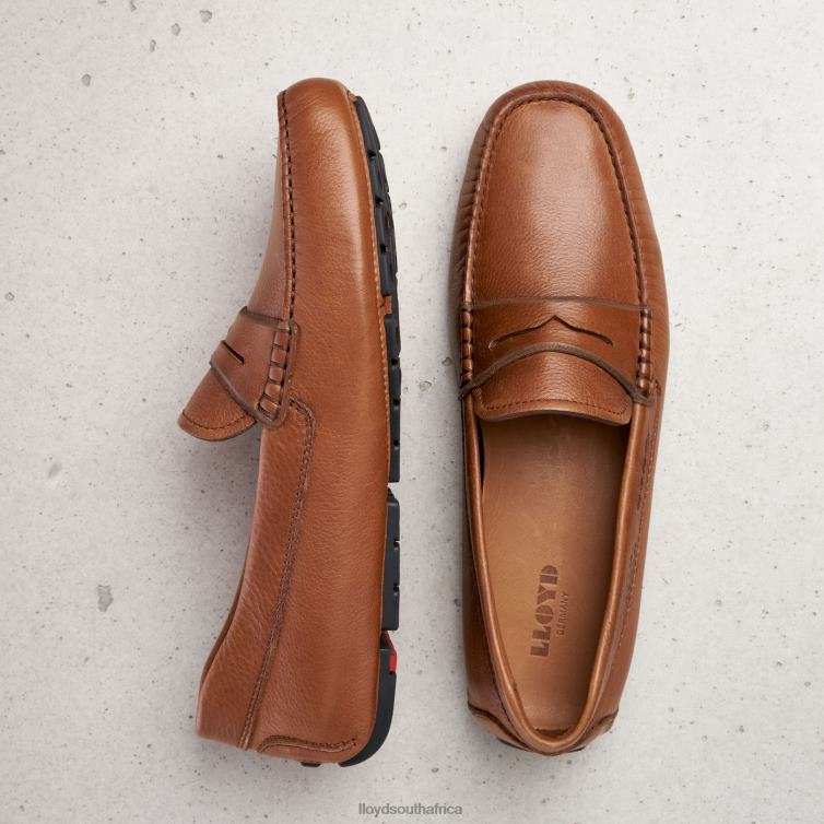 Shoes brown LLOYD EMMO Men 86B4D610