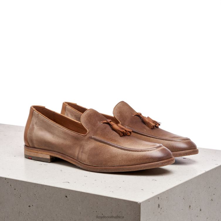 Shoes brown LLOYD ODAL Men 86B4D590