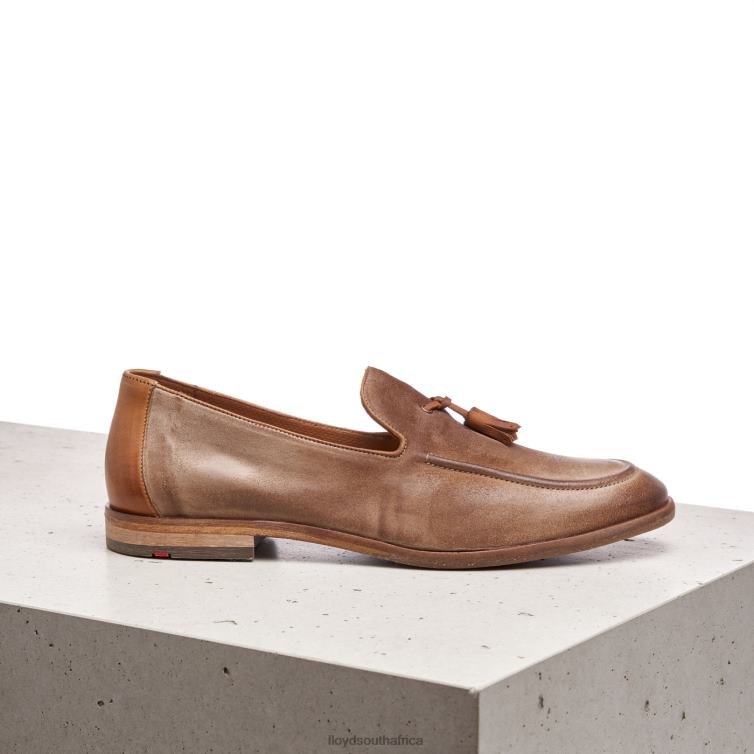 Shoes brown LLOYD ODAL Men 86B4D590