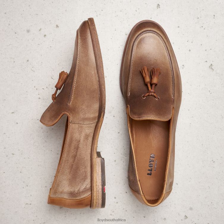 Shoes brown LLOYD ODAL Men 86B4D590