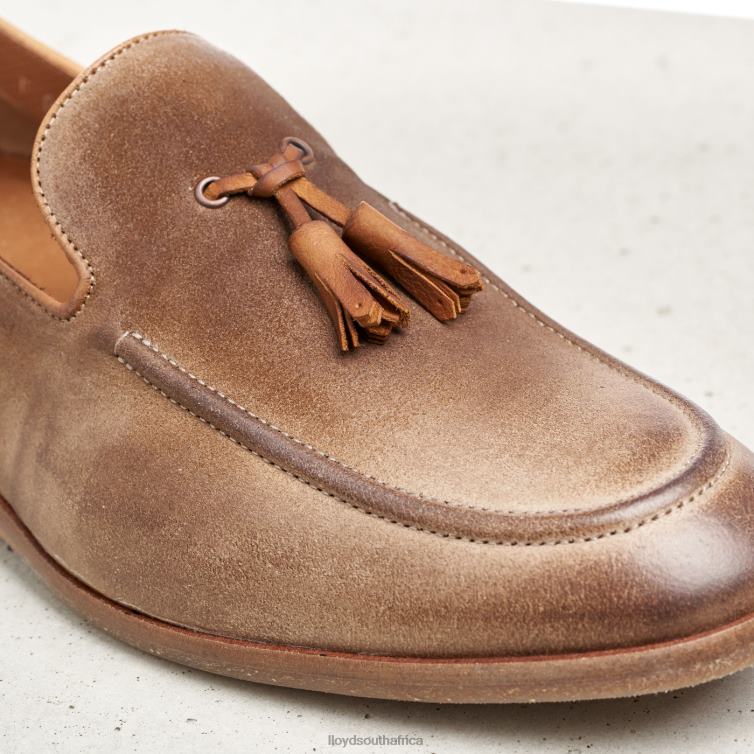 Shoes brown LLOYD ODAL Men 86B4D590