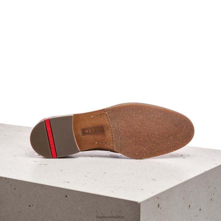Shoes brown LLOYD ODAL Men 86B4D590