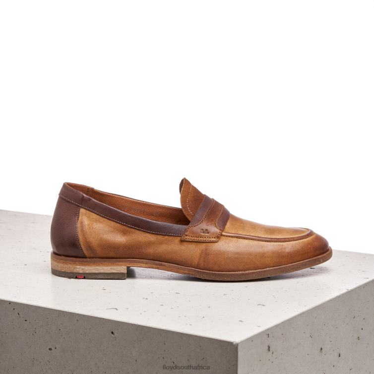 Shoes brown LLOYD OKTANT Men 86B4D604