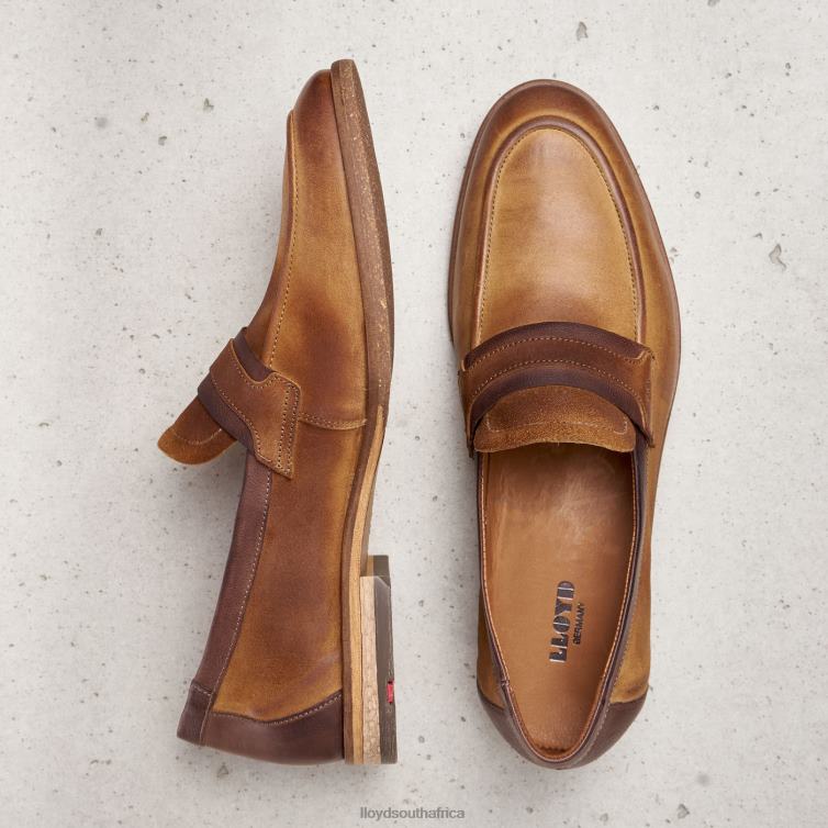 Shoes brown LLOYD OKTANT Men 86B4D604