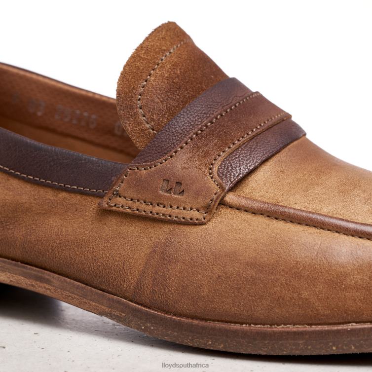 Shoes brown LLOYD OKTANT Men 86B4D604