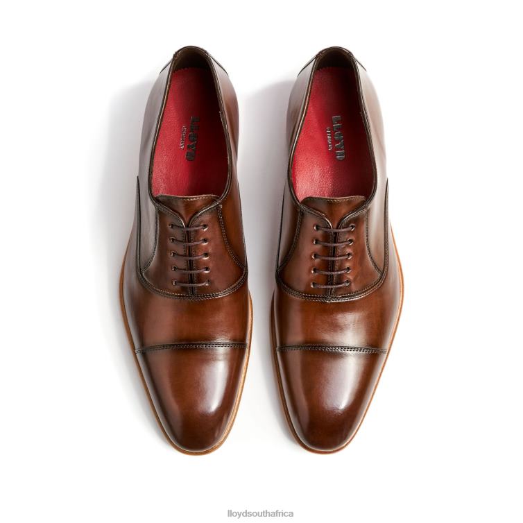 Shoes brown LLOYD PARCAS Men 86B4D156