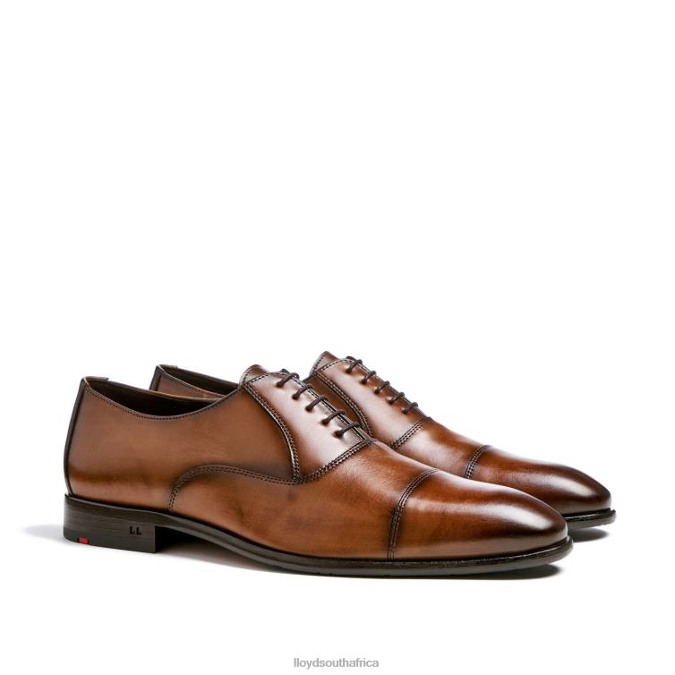 Shoes brown LLOYD POOL Men 86B4D1