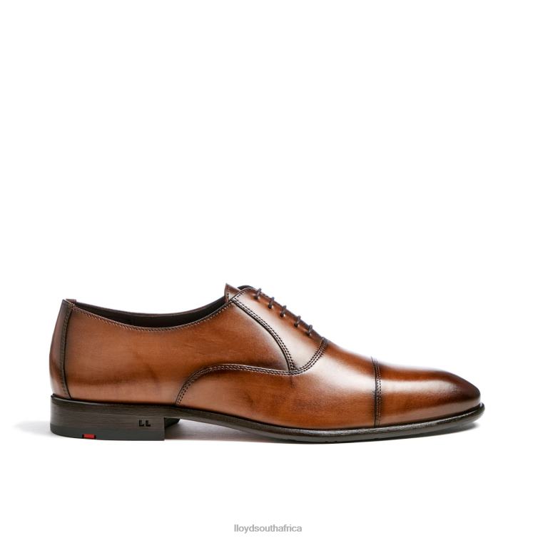 Shoes brown LLOYD POOL Men 86B4D1