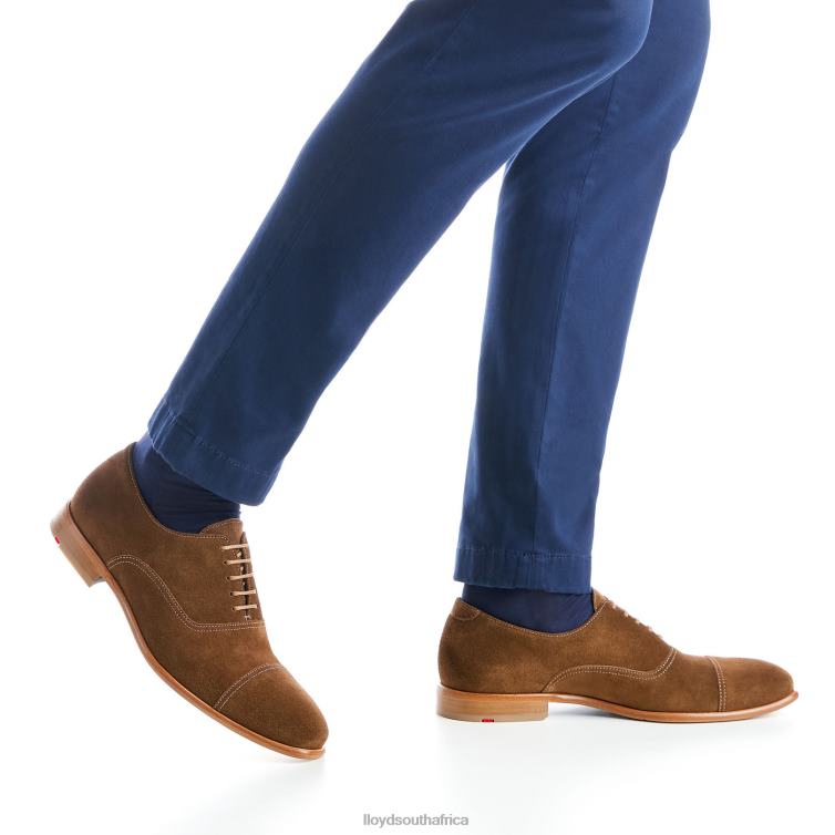 Shoes brown LLOYD RANDO Men 86B4D231