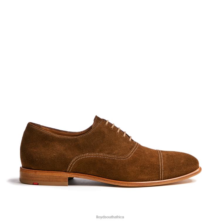 Shoes brown LLOYD RANDO Men 86B4D231