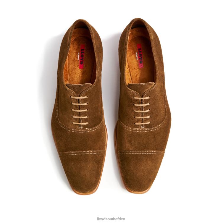 Shoes brown LLOYD RANDO Men 86B4D231