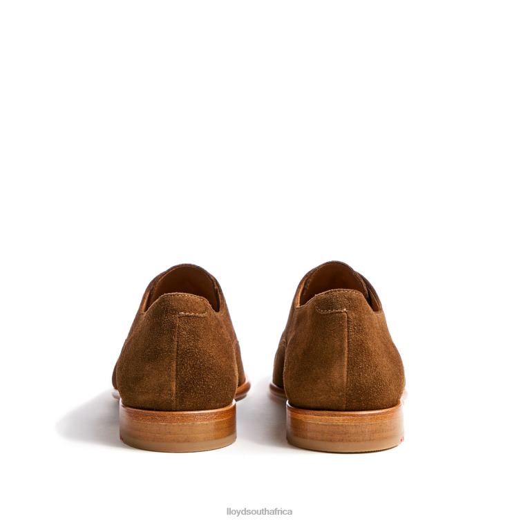 Shoes brown LLOYD RANDO Men 86B4D231