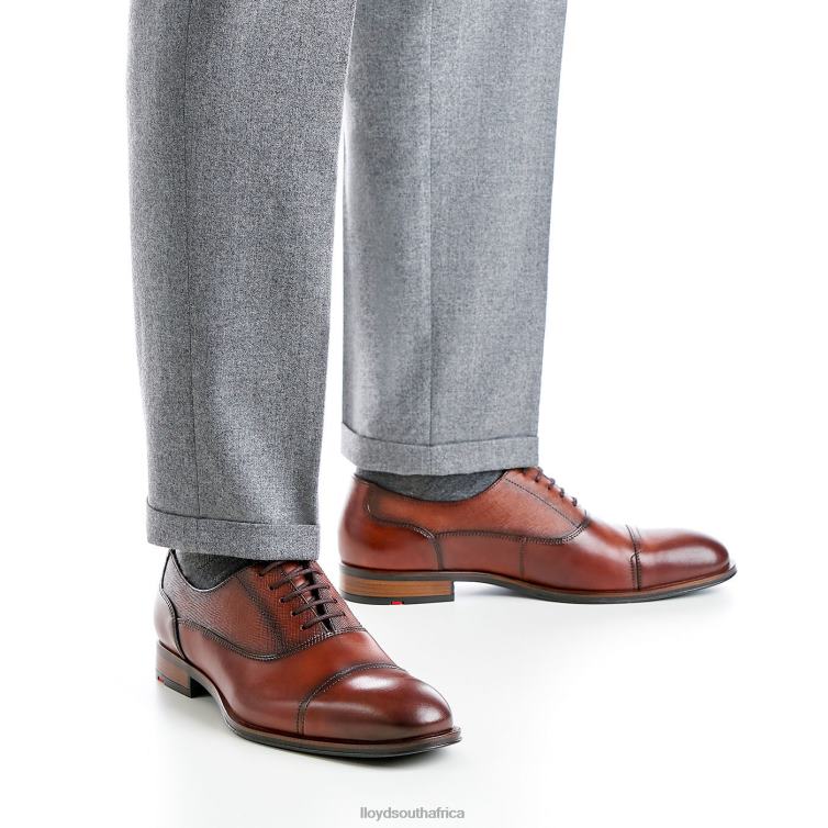 Shoes brown LLOYD SANTIAGO Men 86B4D238