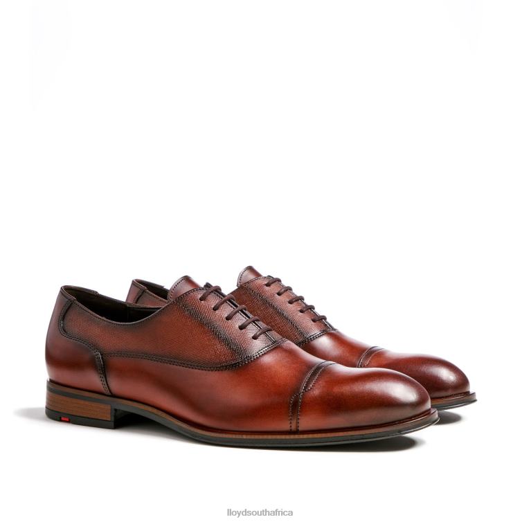Shoes brown LLOYD SANTIAGO Men 86B4D238