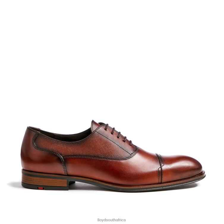 Shoes brown LLOYD SANTIAGO Men 86B4D238