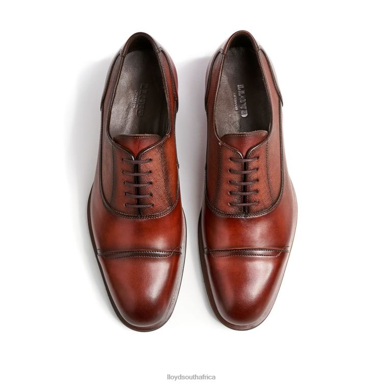 Shoes brown LLOYD SANTIAGO Men 86B4D238