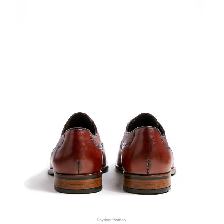 Shoes brown LLOYD SANTIAGO Men 86B4D238