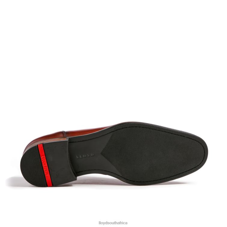 Shoes brown LLOYD SANTIAGO Men 86B4D238