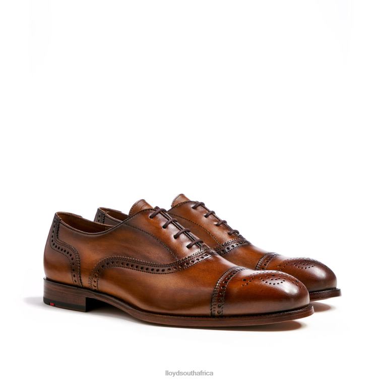 Shoes brown LLOYD SHEFFIELD Men 86B4D219