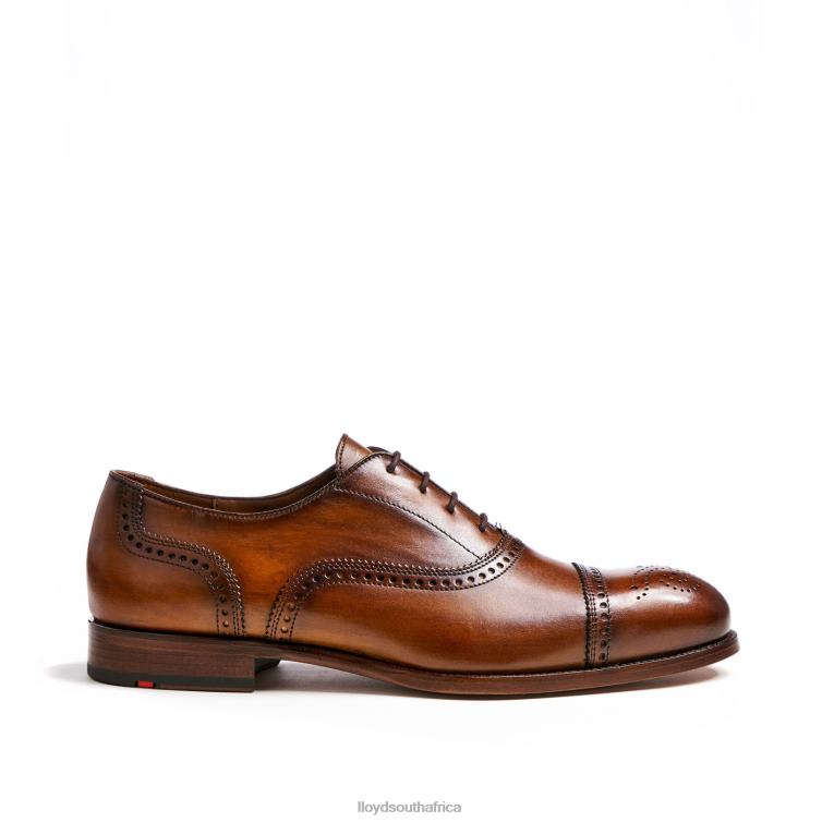 Shoes brown LLOYD SHEFFIELD Men 86B4D219