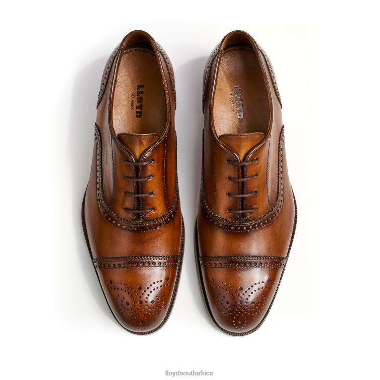 Shoes brown LLOYD SHEFFIELD Men 86B4D219