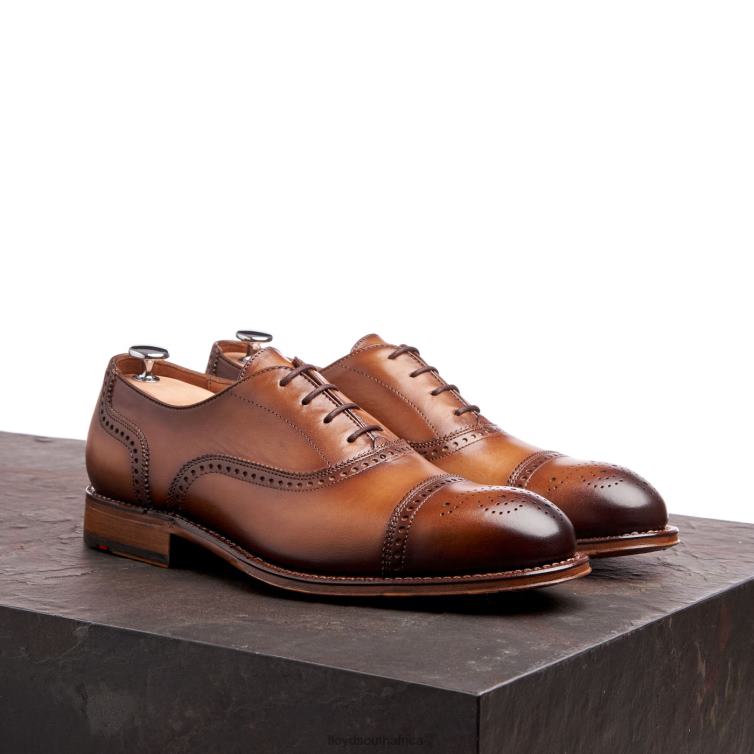 Shoes brown LLOYD WATERLOO Men 86B4D21