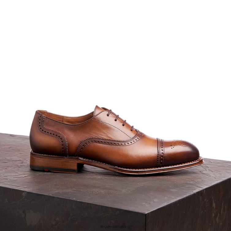 Shoes brown LLOYD WATERLOO Men 86B4D21