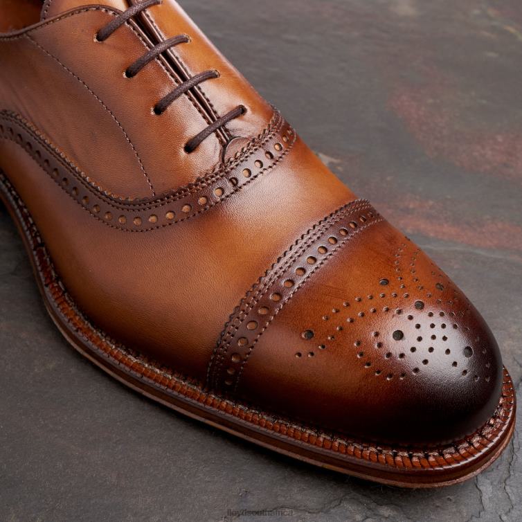 Shoes brown LLOYD WATERLOO Men 86B4D21