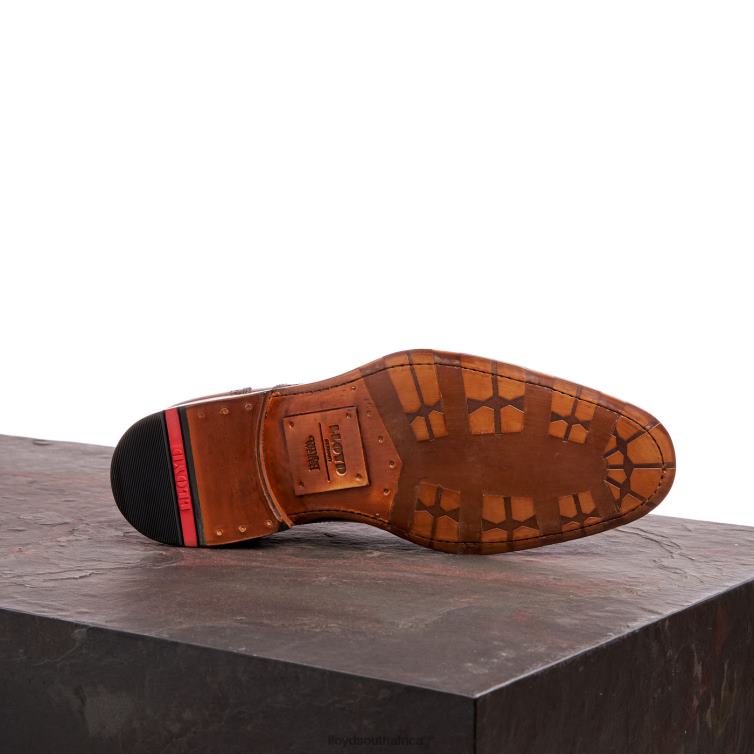 Shoes brown LLOYD WATERLOO Men 86B4D21