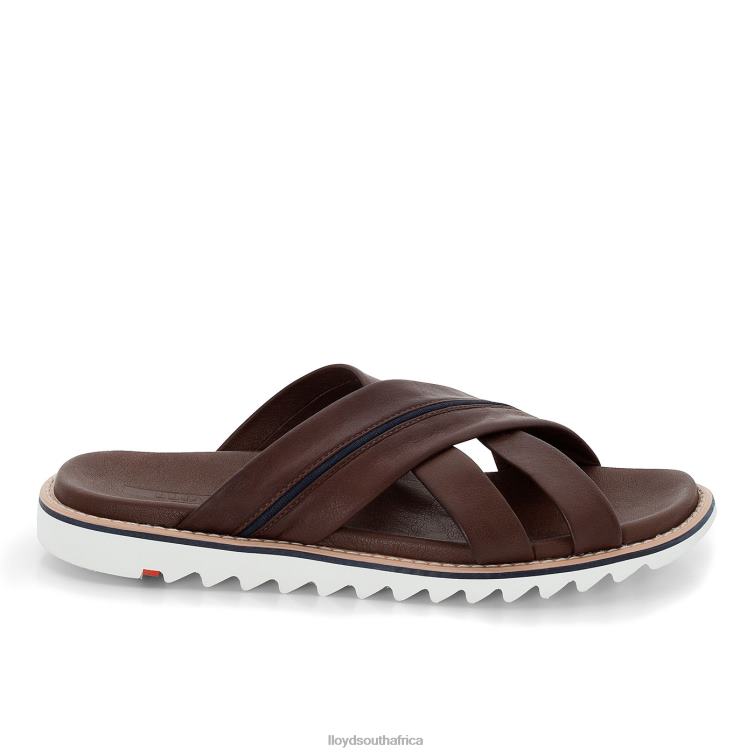 Shoes brown LLOYD EDVINO Men 86B4D584