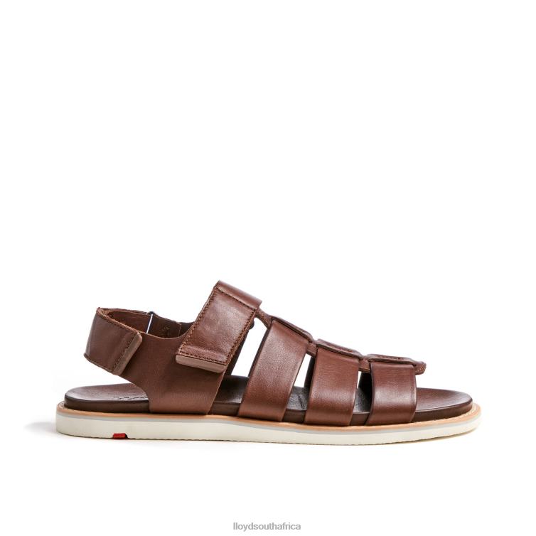 Shoes brown LLOYD ELIMAR Men 86B4D583