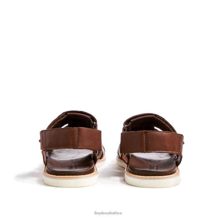 Shoes brown LLOYD ELIMAR Men 86B4D583