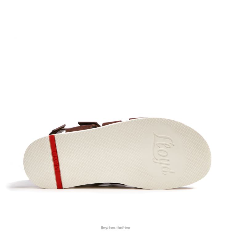 Shoes brown LLOYD ELIMAR Men 86B4D583