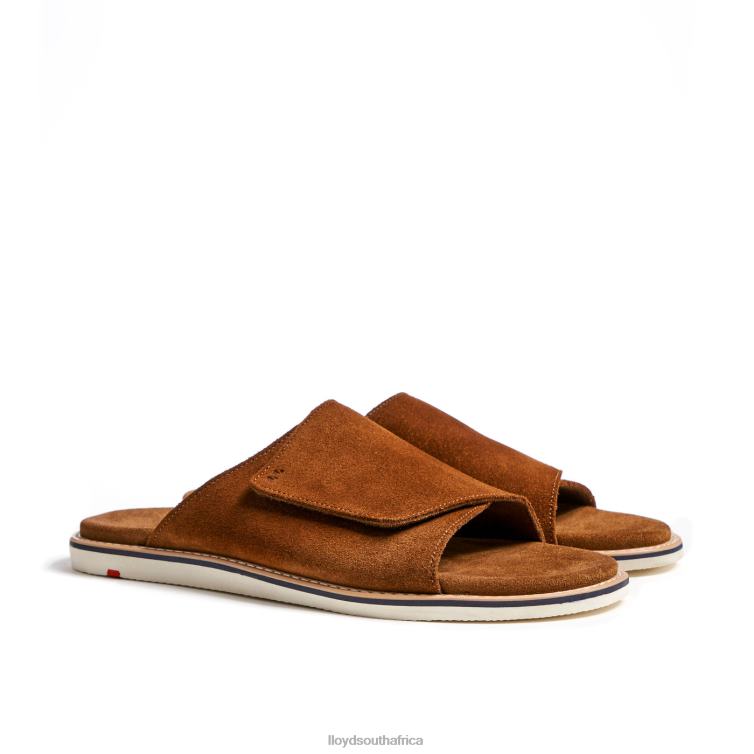 Shoes brown LLOYD ELIOS Men 86B4D581