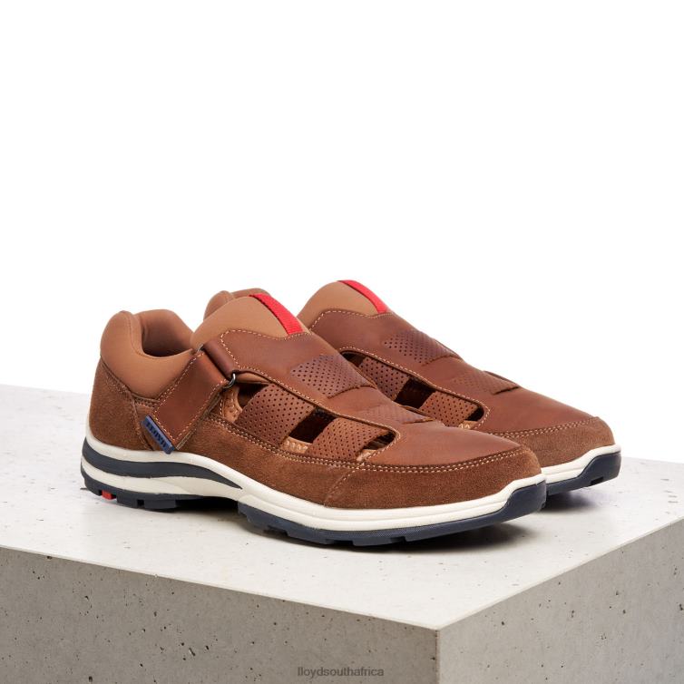 Shoes brown LLOYD ELRADO Men 86B4D625