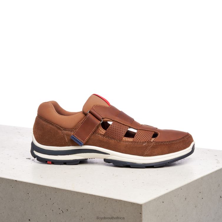 Shoes brown LLOYD ELRADO Men 86B4D625