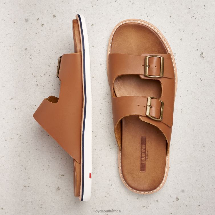 Shoes brown LLOYD EMERSON Men 86B4D579