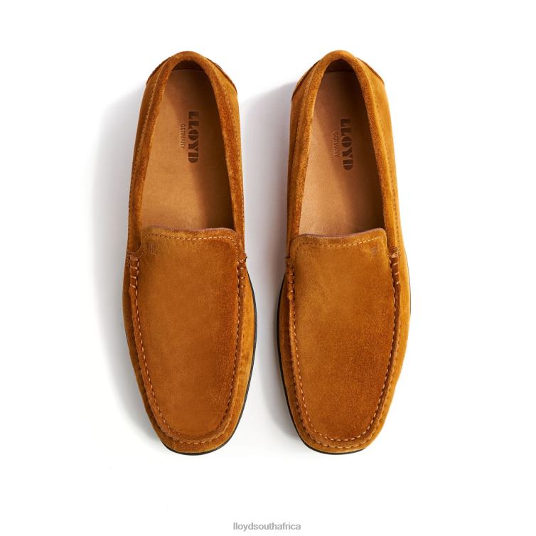 Shoes brown LLOYD EMILIO Men 86B4D620